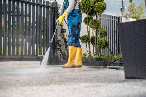Best Sidewalk and Walkway Cleaning  in Woodlawn, VA